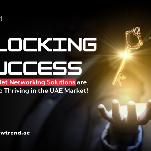 unlocking-success-why-D-Net-networking-solutions-are-the-Key-to-thriving-in-the-UAE-market